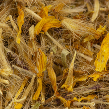 Load image into Gallery viewer, Arnica Flowers, Dried, C/S,  1oz