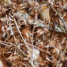 Load image into Gallery viewer, Arnica Flowers, Dried, C/S,  1oz
