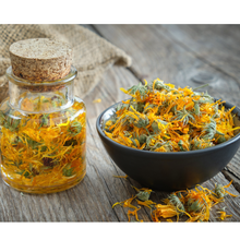 Load image into Gallery viewer, Arnica Flowers, Dried, C/S,  1oz
