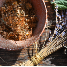 Load image into Gallery viewer, Arnica Flowers, Dried, C/S,  1oz
