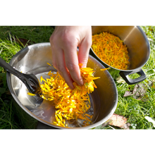 Load image into Gallery viewer, Arnica Flowers, Dried, C/S,  1oz