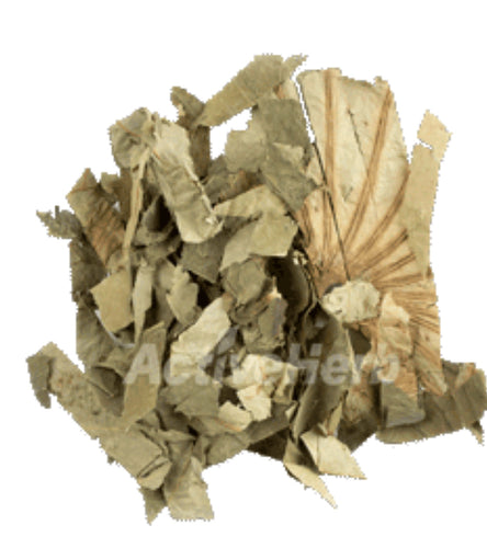 Lotus Leaf, Dried, C/S, 1oz