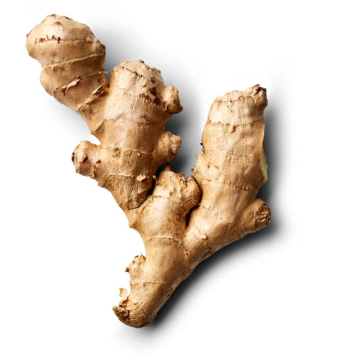 Ginger Root, Powder, 2oz
