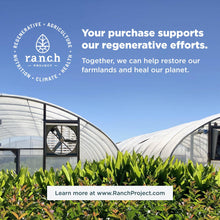 Load image into Gallery viewer, Collagen Peptides Protein | Powder Unflavored (14 Servings)