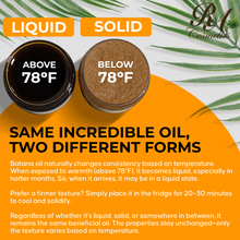 Load image into Gallery viewer, 100% Raw Batana Oil, 4oz - From Honduras