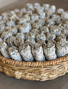 White Sage Smudge Sticks in Bulk