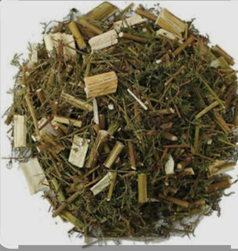 Sweet Wormwood, Dried, C/S, 1oz