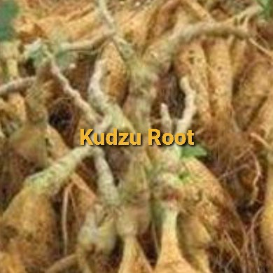 Kudzu Root, Dried,  2oz