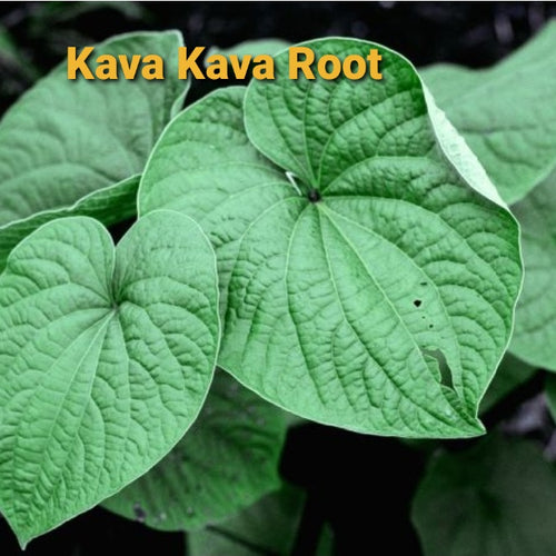 Kava Kava Root,  Dried, C/S,  2oz
