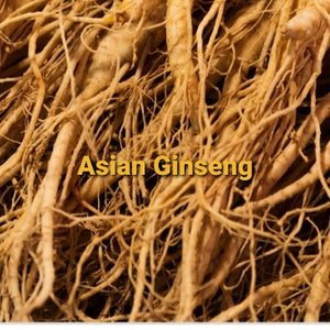 Asian Ginseng Root, Dried, Powder,  4oz