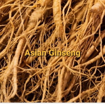 Asian Ginseng Root, Whole, Dried, C/S,  4oz
