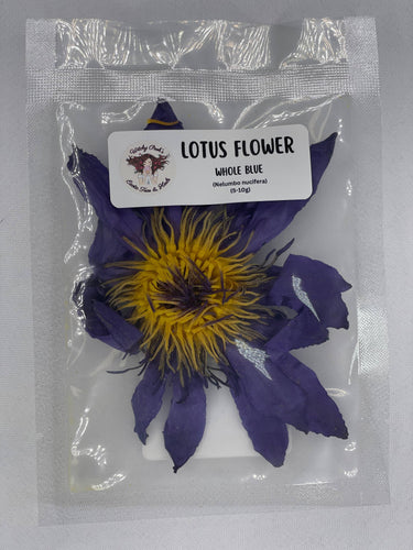Blue Lotus Flower, Whole, Dried