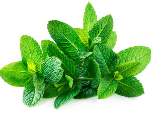 Peppermint Leaf, Dried, C/S,  1oz