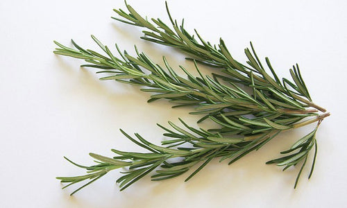 Rosemary Leaf, Dried,  1oz