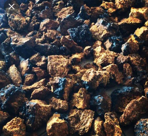 Chaga Mushroom, Dried, C/S, 1oz