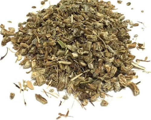 Echinacea Augustifolia Root, Dried, C/S, 2oz