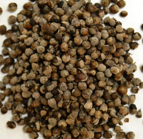 Chaste Tree (Vitex) Berries, Dried, C/S,  2oz